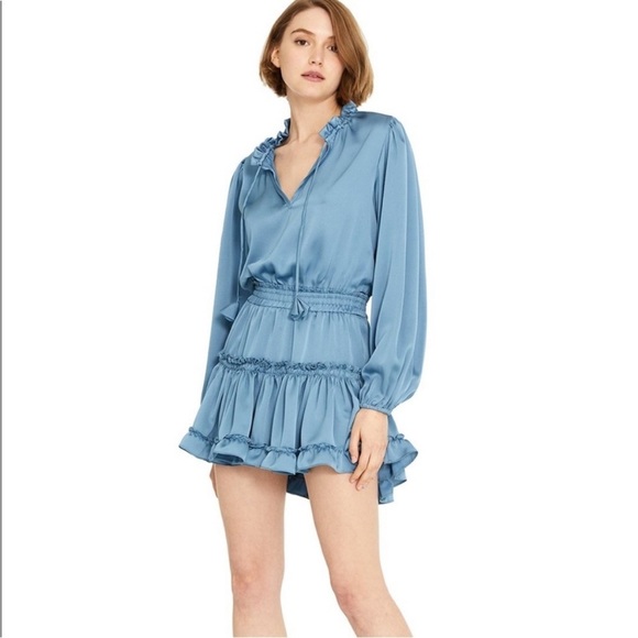 Misa Los Angeles Dresses & Skirts - Misa Lorena blue ruffle midi dress
